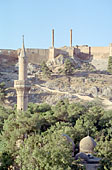 Urfa, the kale